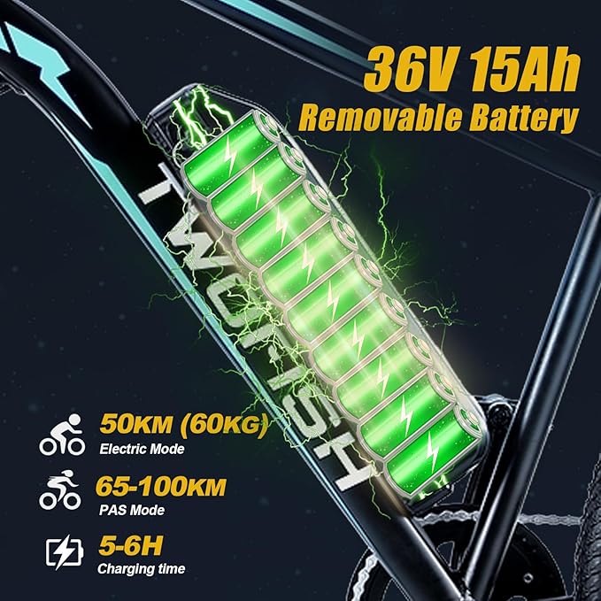 TWOFISH E-bike battery