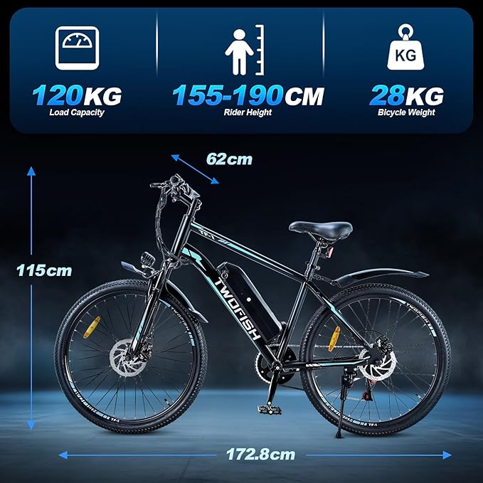 TWOFISH E-bike specifications